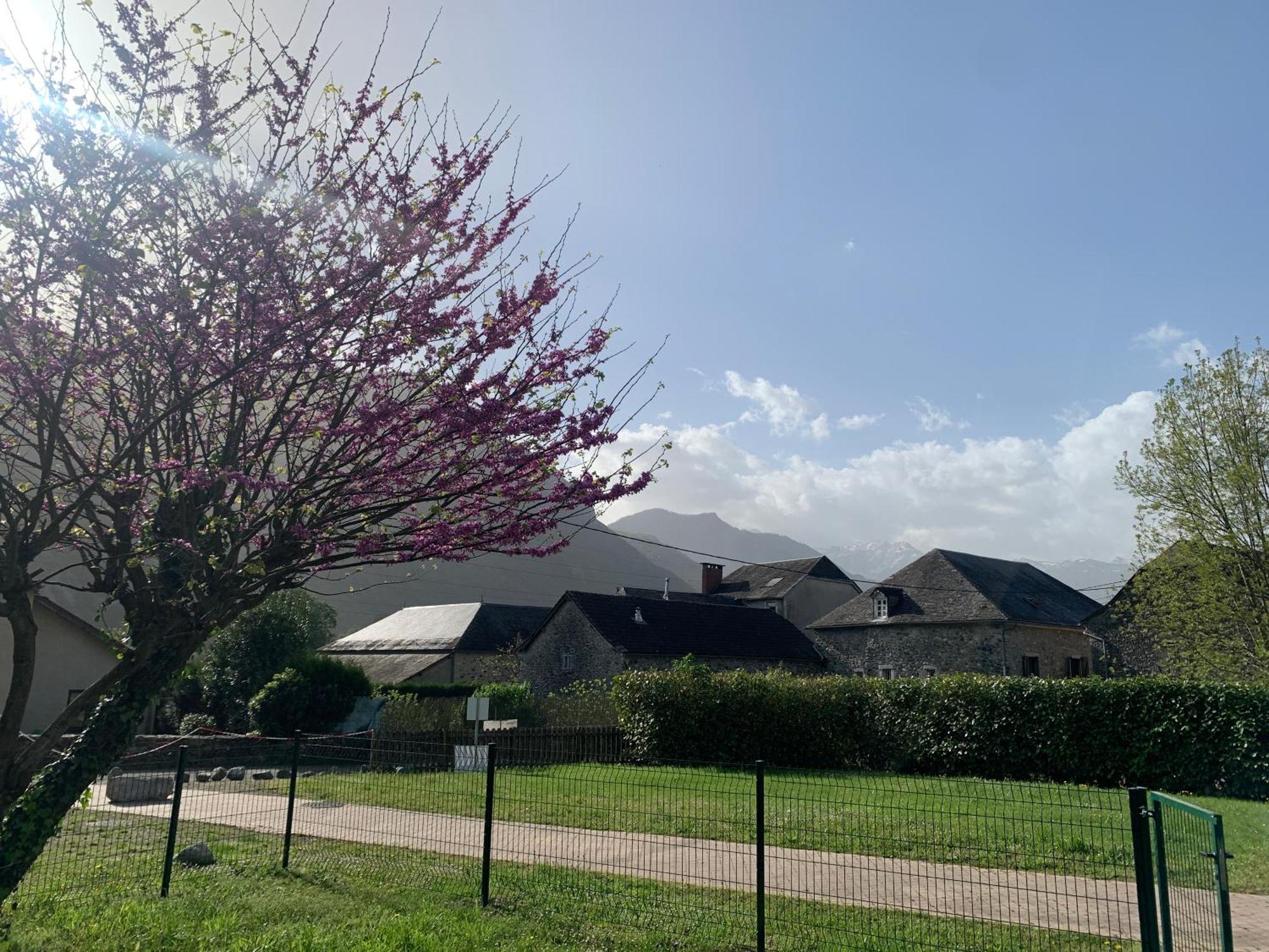 La Suite Unique - Le Jardin Sur Les Pyrenees- Vue Panoramique Montagne -Jardin Cloture Prive De 100M2-Parking-Linge De Lit Et Serviettes Compris- Bielle Kültér fotó