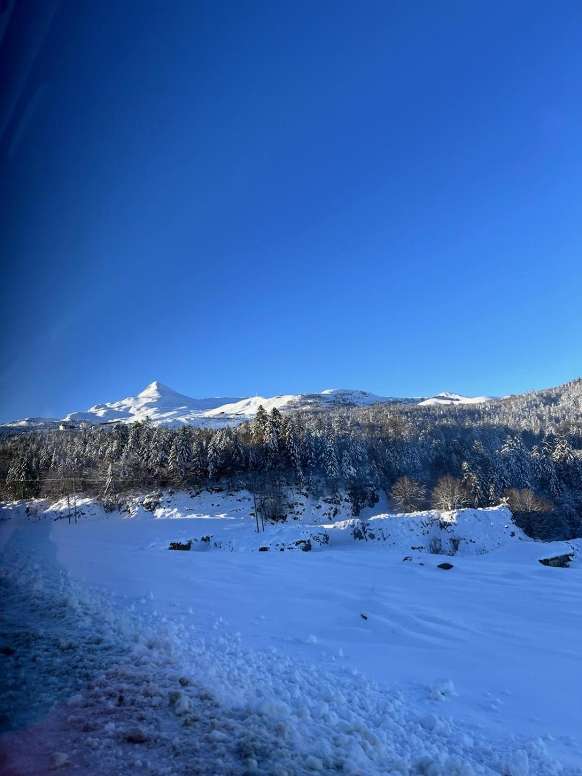 La Suite Unique - Le Jardin Sur Les Pyrenees- Vue Panoramique Montagne -Jardin Cloture Prive De 100M2-Parking-Linge De Lit Et Serviettes Compris- Bielle Kültér fotó